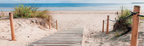 Deco-Canvas Bild - Dünenweg zum Strand 140 x 45 cm von Weitere