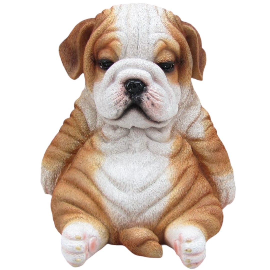Dekofigur Bulldogge sitzend 17 x 16 x 16 cm braun weiß von Weitere