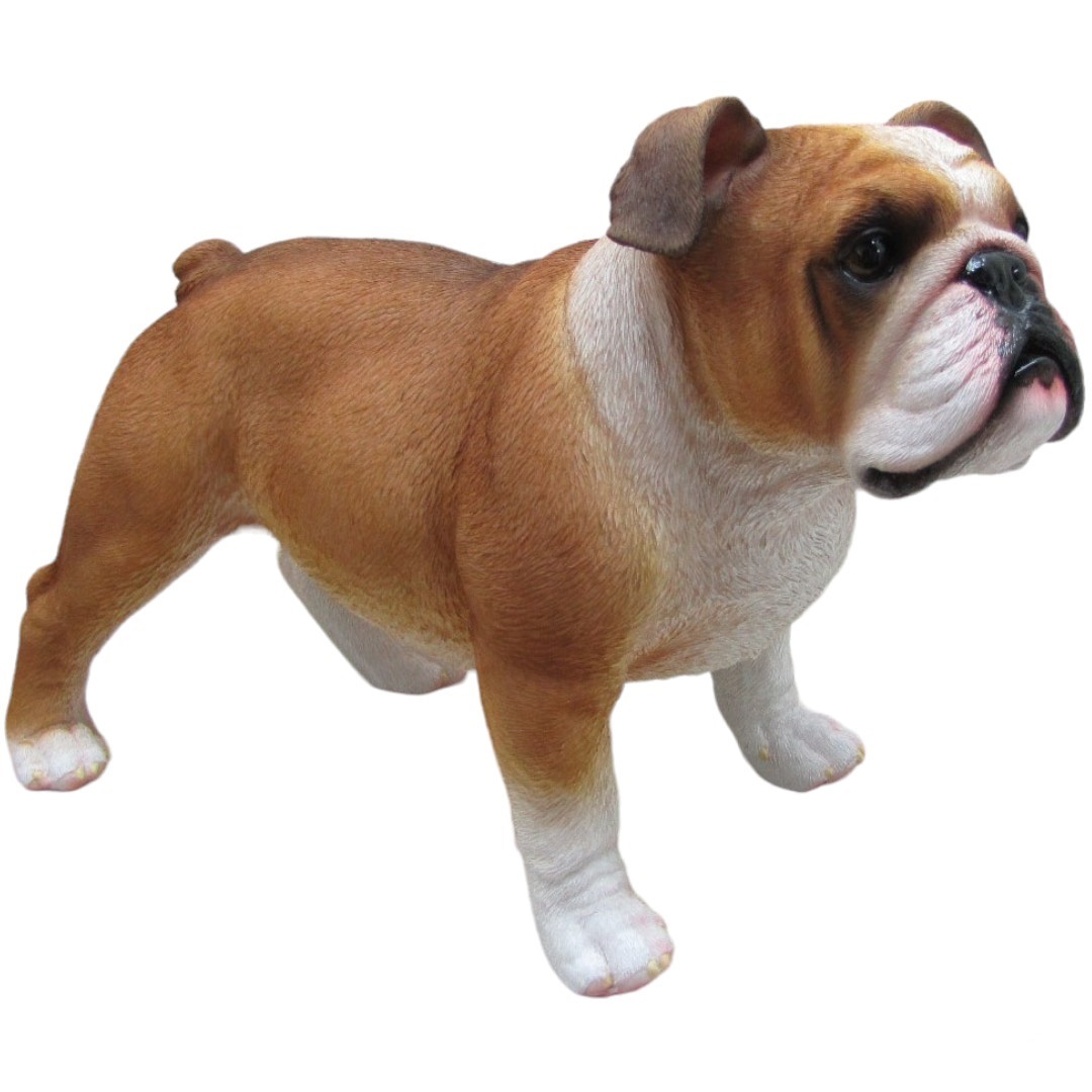 Dekofigur Bulldogge stehend 37 x 24 x 17 cm braun weiß von Weitere