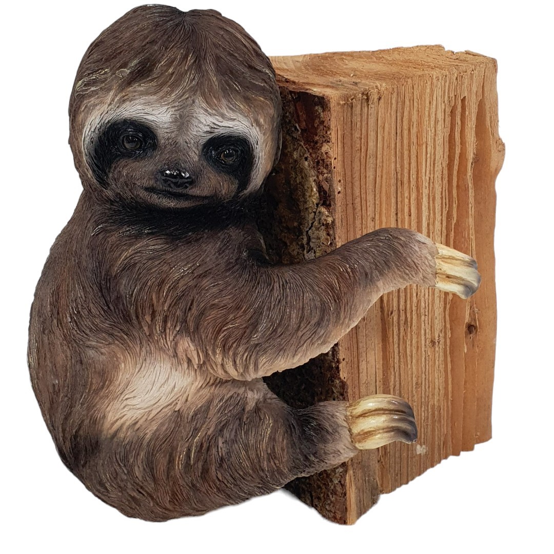 Dekofigur Faultier zum Hängen 29,5 x 21,5 x 20,5 cm braun Dekofigur Faultier zum Hängen 29,5 x 21,5 x 20,5 cm braun von FD