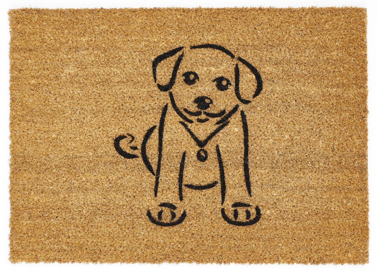 Fußmatte Kokos Pets 40 x 60 cm Dog Fußmatte Kokos Pets 40 x 60 cm Dog von Andiamo