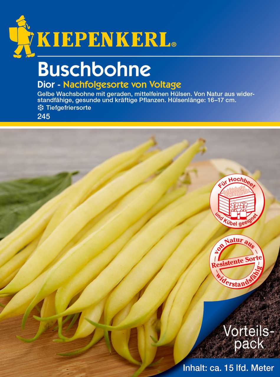 Kiepenkerl Buschbohne Dior Kiepenkerl Buschbohne Dior von Kiepenkerl