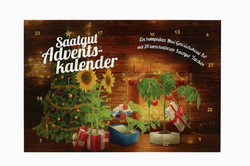 Saatgut Adventskalender Kamin mit komplettem Mini Gewächshaus Set Saatgut Adventskalender Kamin mit komplettem Mini Gewächshaus Set von Weitere