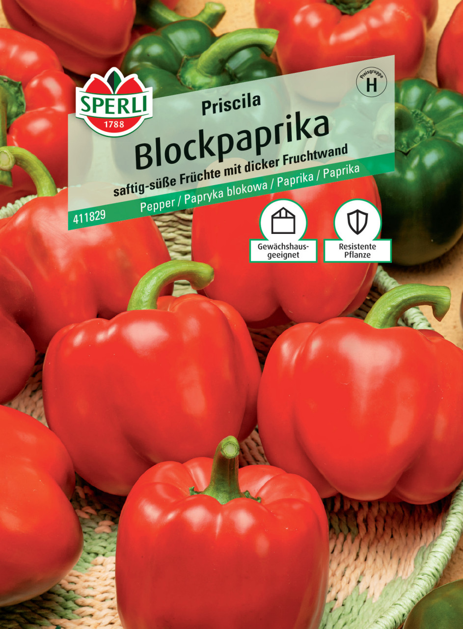 Sperli Blockpaprika Priscila F1 von Sperli