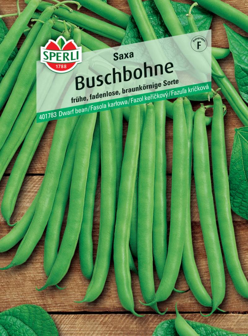Sperli Buschbohne Saxa von Sperli