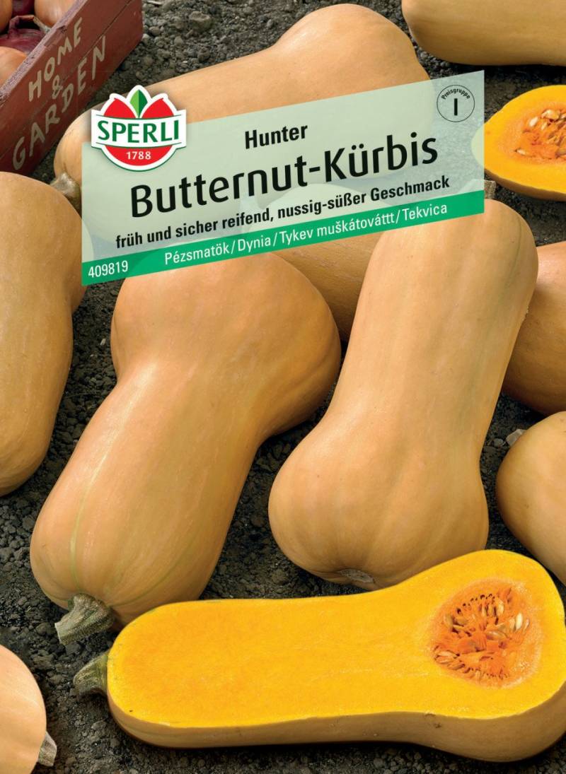 Sperli Butternutkürbis Hunter F1 von Sperli