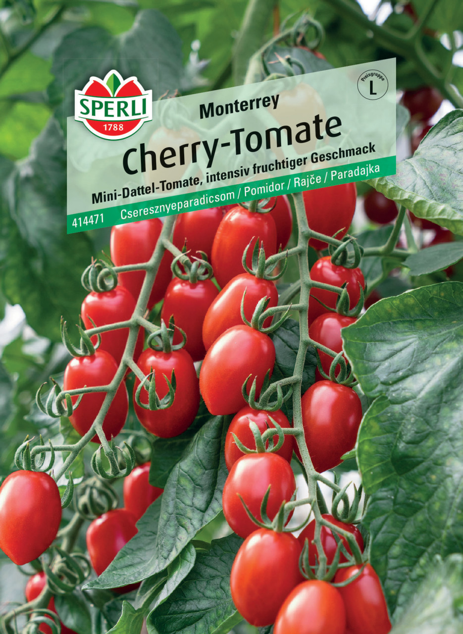 Sperli Cherrytomate Monterrey F1 von Sperli