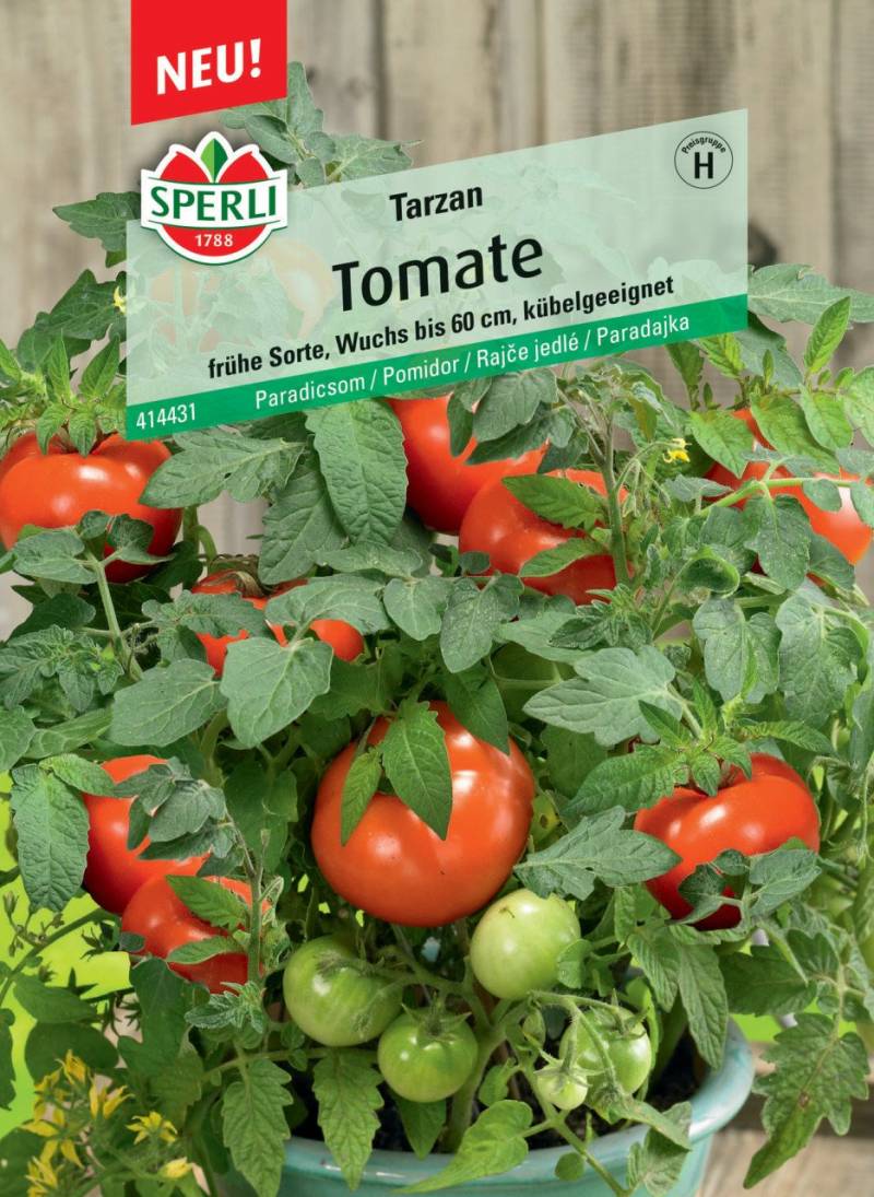 Sperli Cocktail-Tomate Tarzan F1 von Sperli