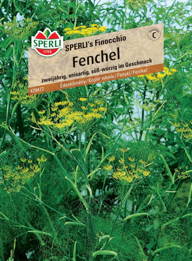 Sperli Fenchel Sperli 's Finocchio von Sperli