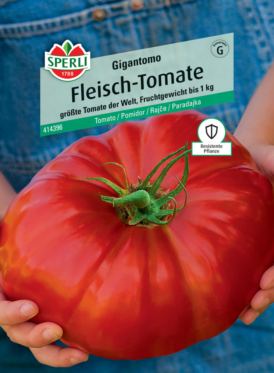 Sperli Fleisch-Tomate Gigantomo F1 von Sperli