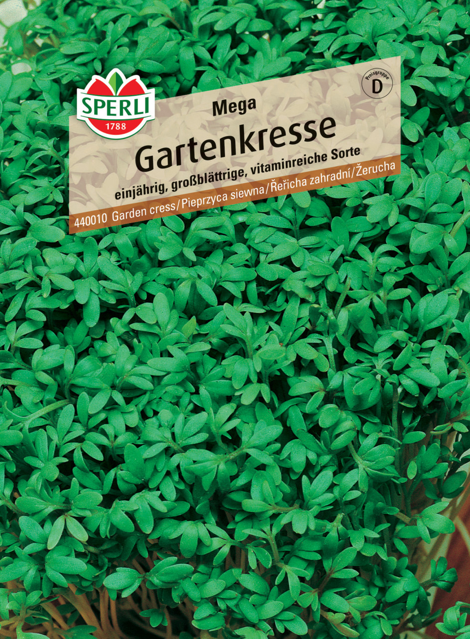 Sperli Gartenkresse Mega von Sperli