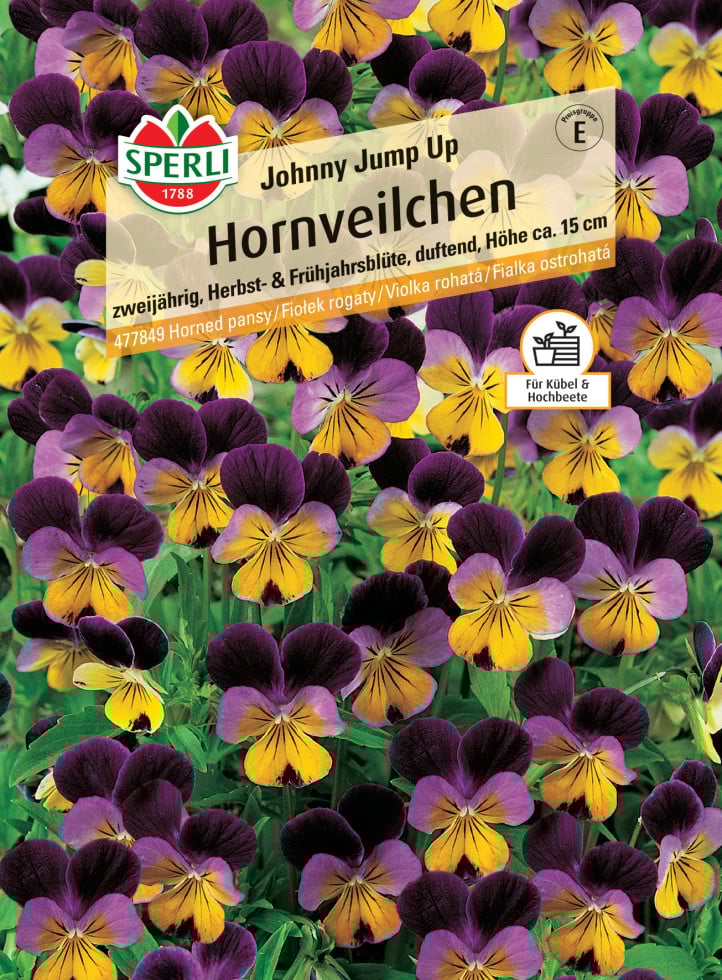 Sperli Hornveilchen Johnny Jump Up von Sperli