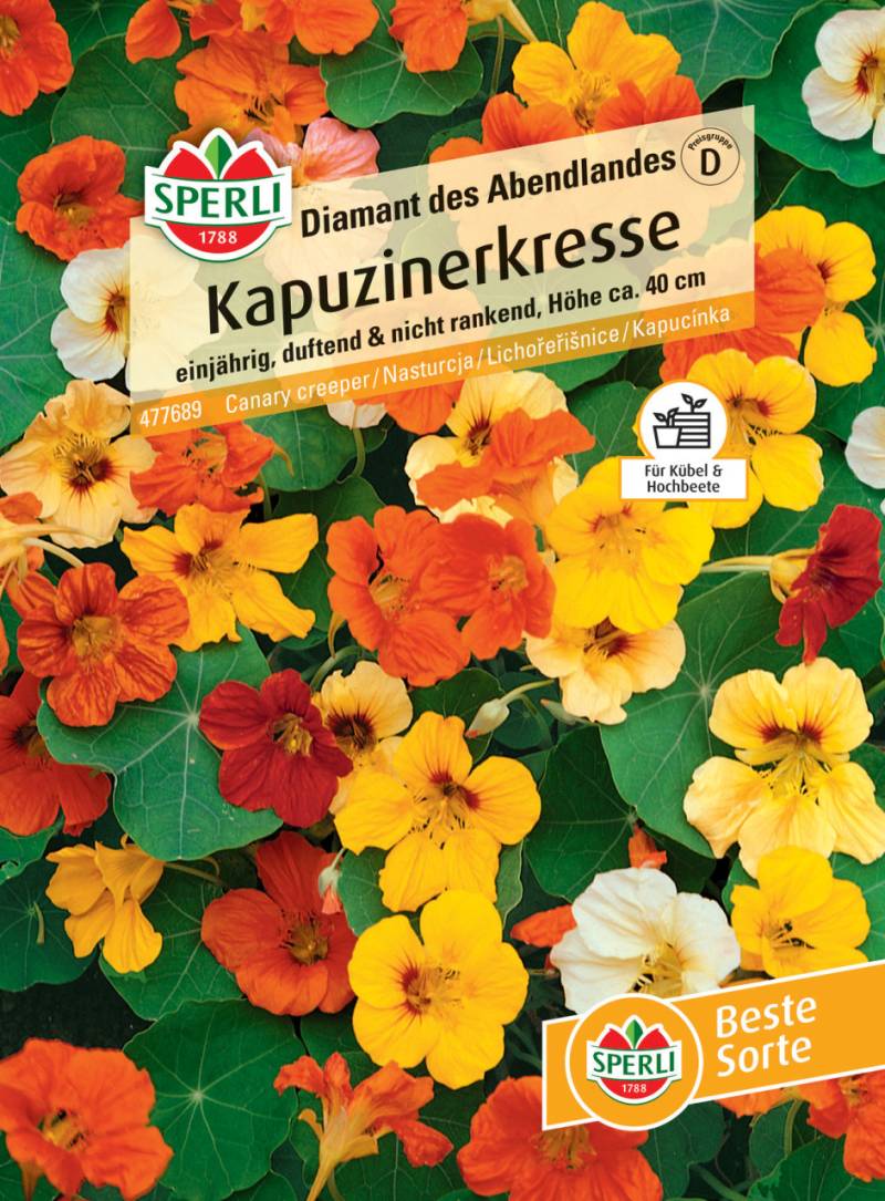 Sperli Kapuzinerkresse Diamant des Abendlandes von Sperli