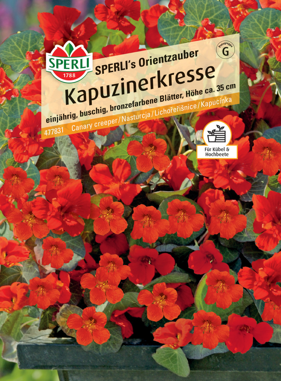 Sperli Kapuzinerkresse SPERLI's Orientzauber von Sperli