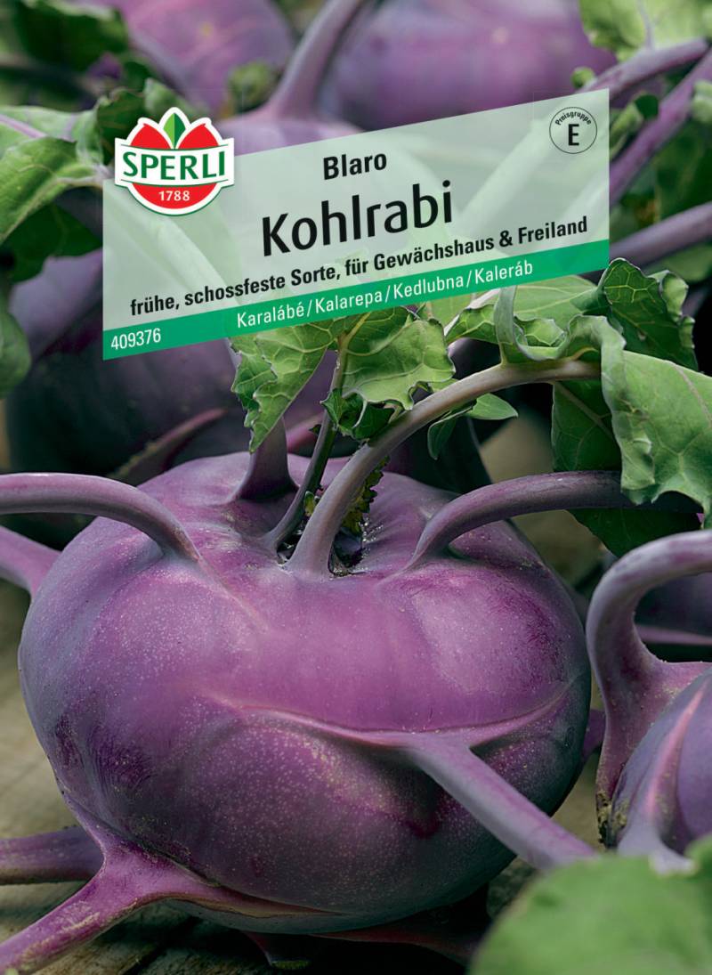 Sperli Kohlrabi Blaro von Sperli