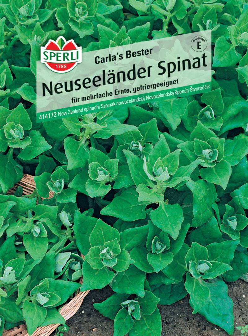 Sperli Neuseeländer Spinat Carla's Bester von Sperli
