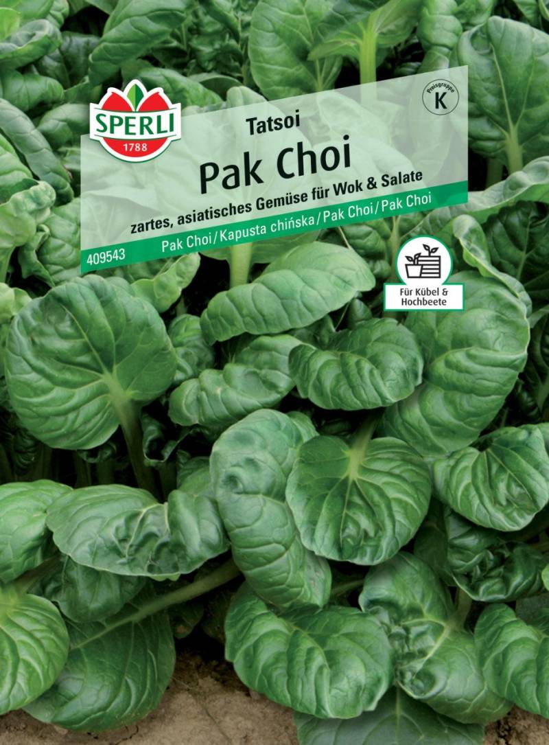 Sperli Pak Choi Tatsoi von Sperli