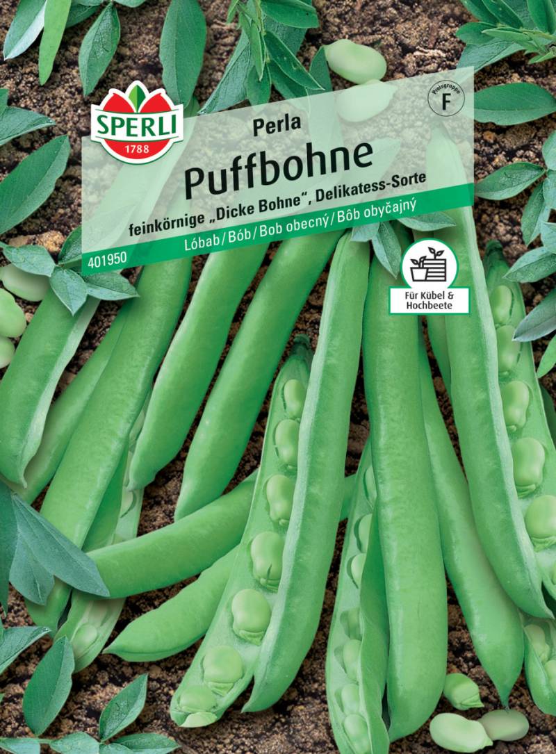 Sperli Puffbohne Perla von Sperli
