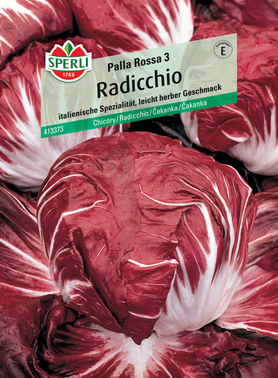 Sperli Radicchio Palla Rossa 3 von Sperli