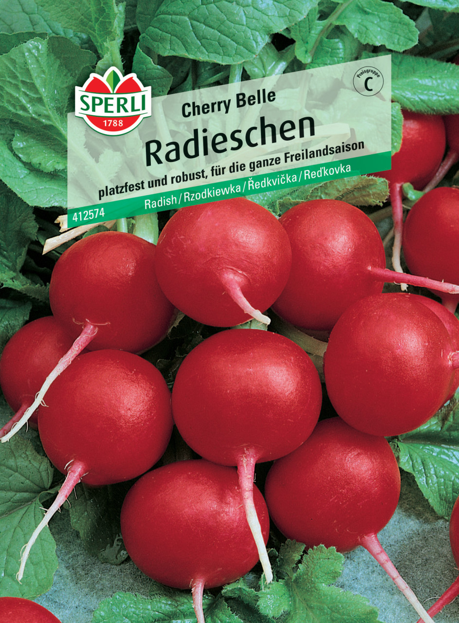 Sperli Radieschen Cherry Belle von Sperli