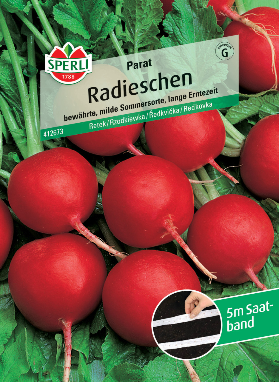 Sperli Radieschen Parat Saatband von Sperli