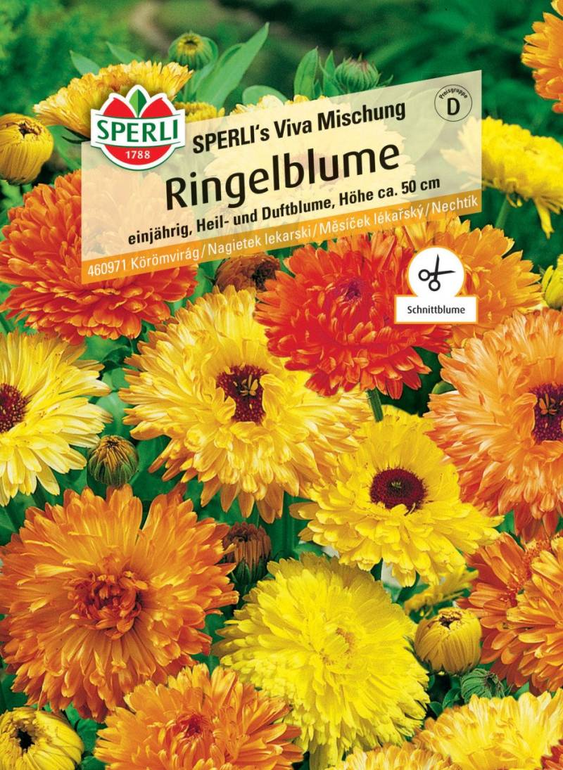 Sperli Ringelblume SPERLI's Viva Mischung von Sperli