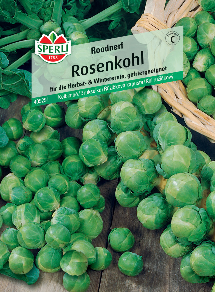 Sperli Rosenkohl Roodnerf von Sperli