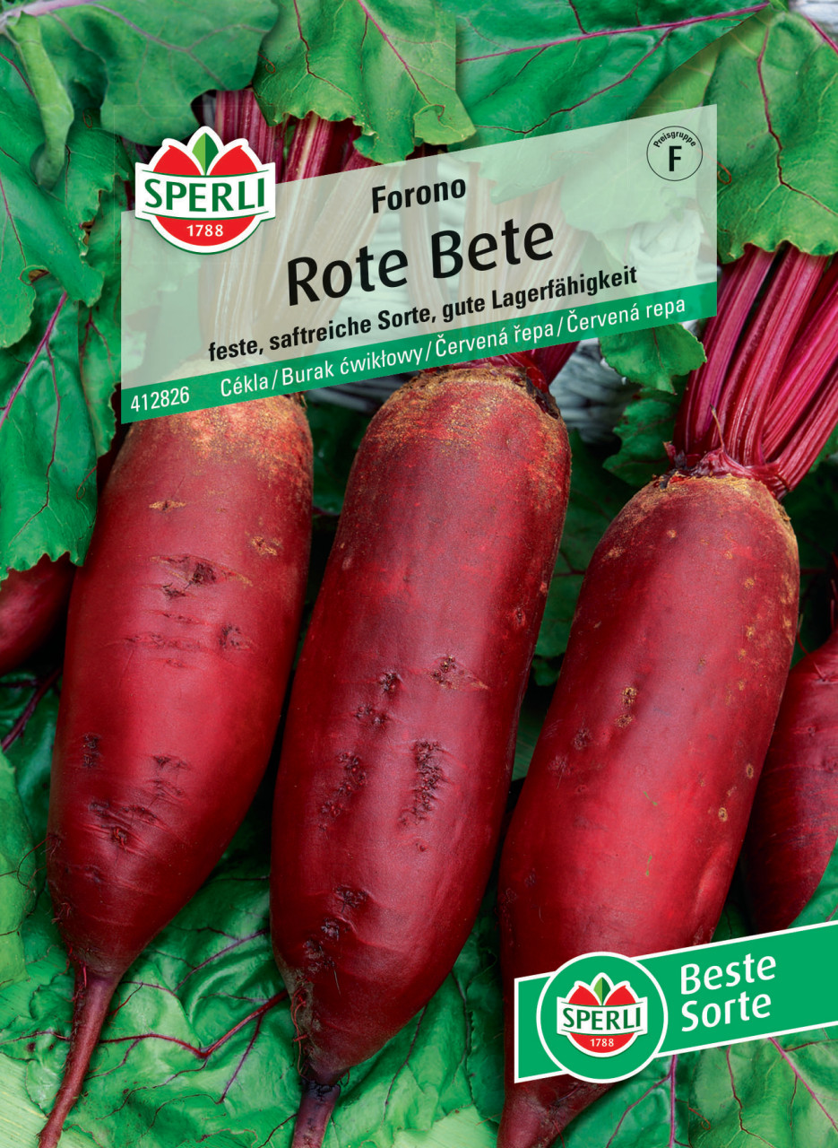 Sperli Rote Bete Forono von Sperli