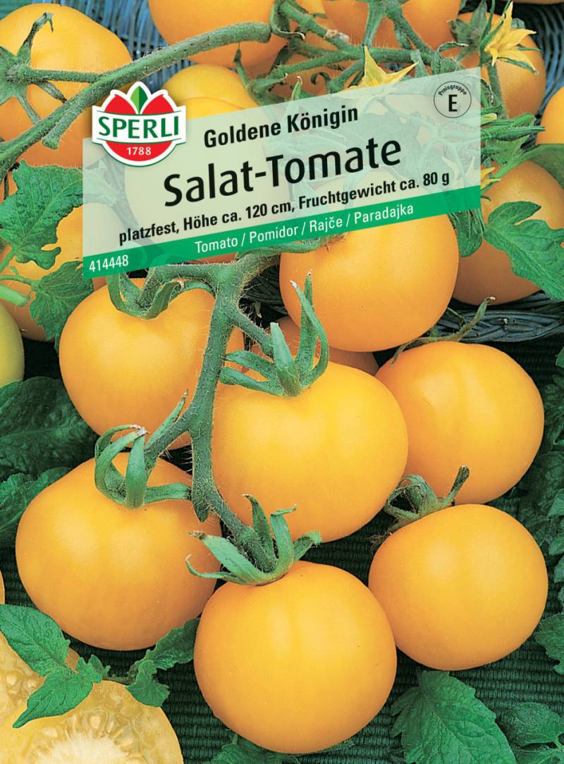 Sperli Salat-Tomate Goldene Königin von Sperli
