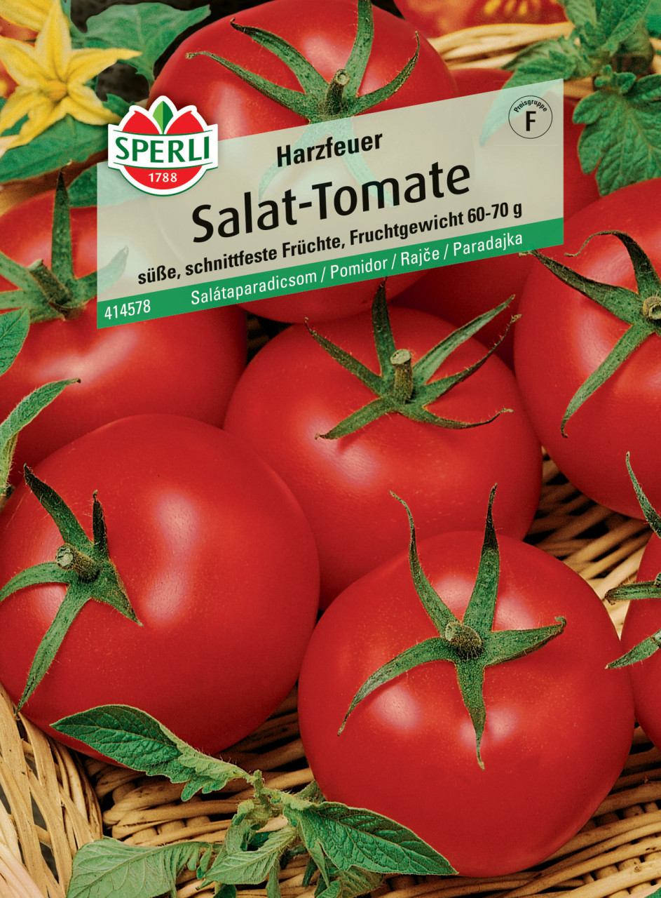 Sperli Salat-Tomate Harzfeuer F1 von Sperli