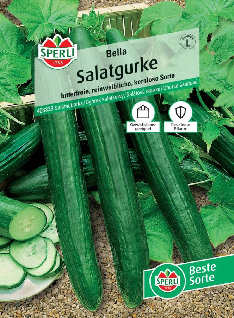 Sperli Salatgurke Bella F1 von Sperli