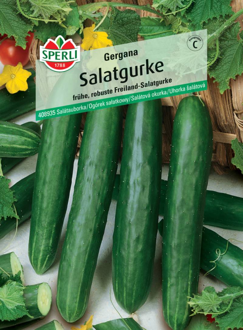 Sperli Salatgurke Gergana von Sperli