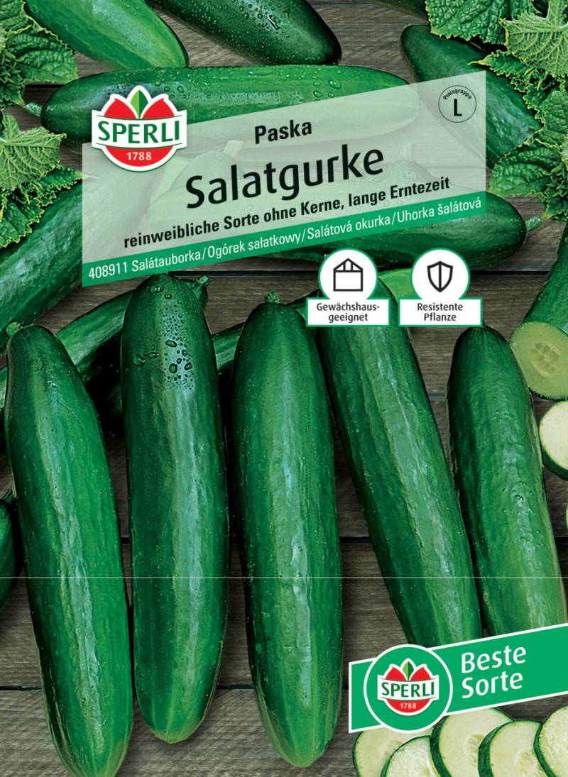 Sperli Salatgurke Paska F1 von Sperli