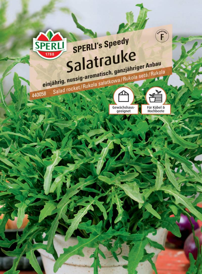Sperli Salatrauke Sperli 's Speedy von Sperli