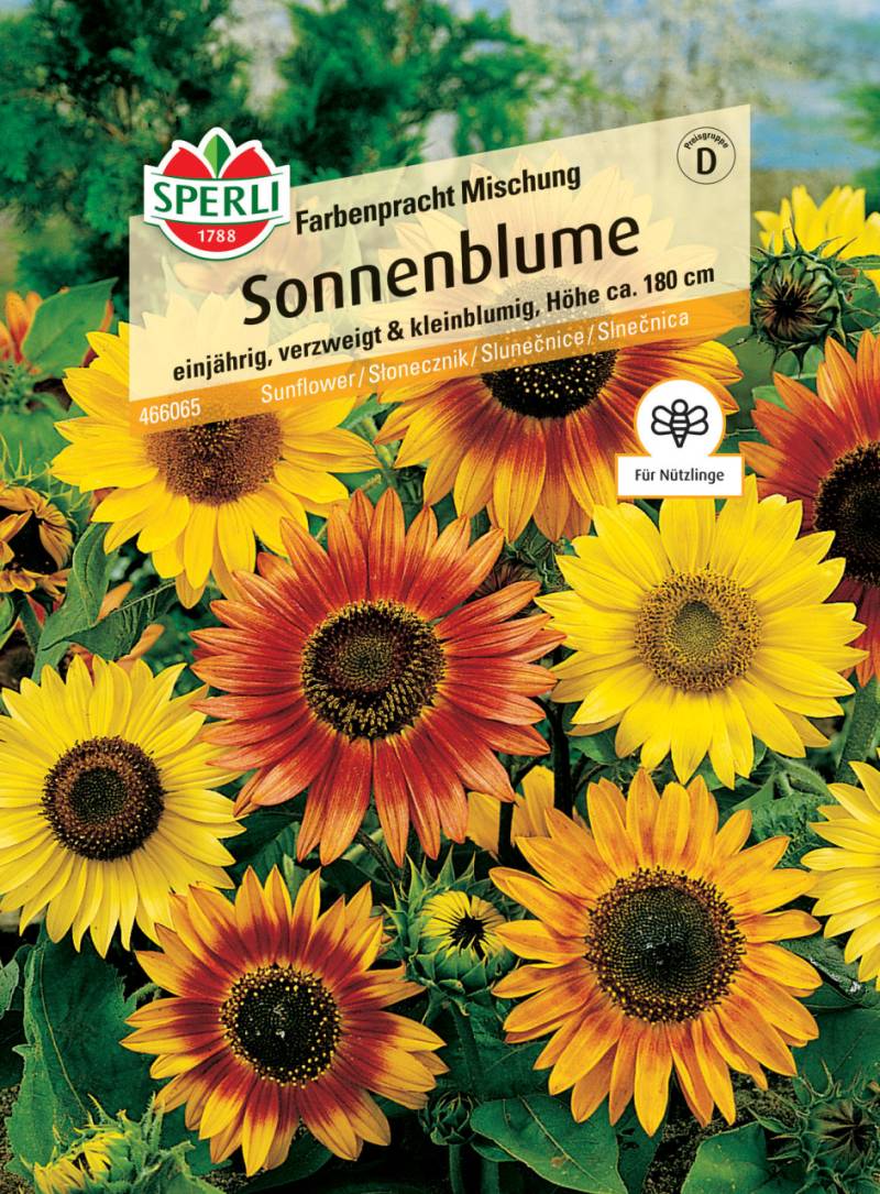 Sperli Sonnenblume Farbenpracht Mischung von Sperli