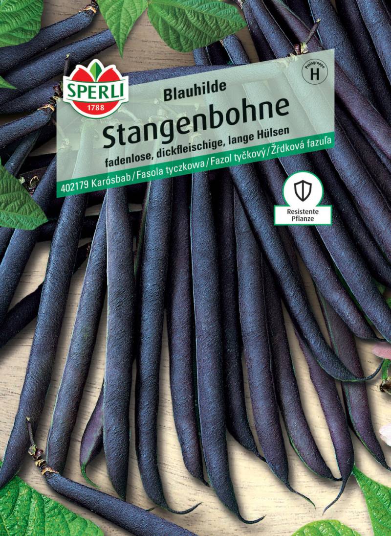 Sperli Stangenbohne Blauhilde von Sperli
