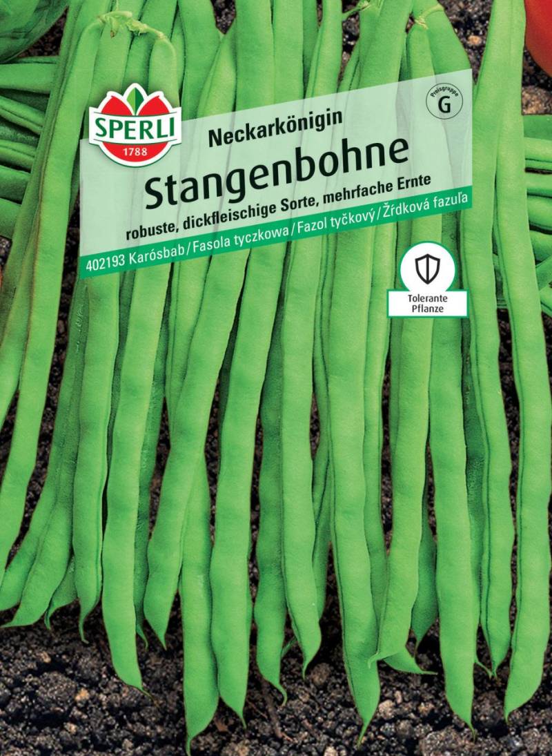 Sperli Stangenbohne Neckarkönigin von Sperli