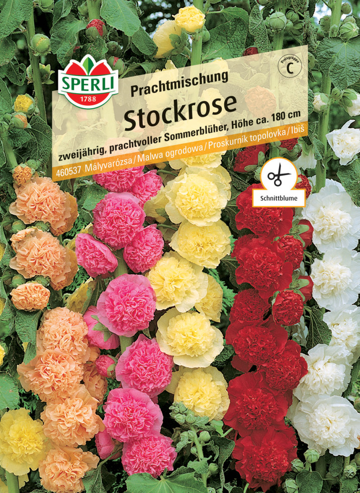 Sperli Stockrose Prachtmischung von Sperli