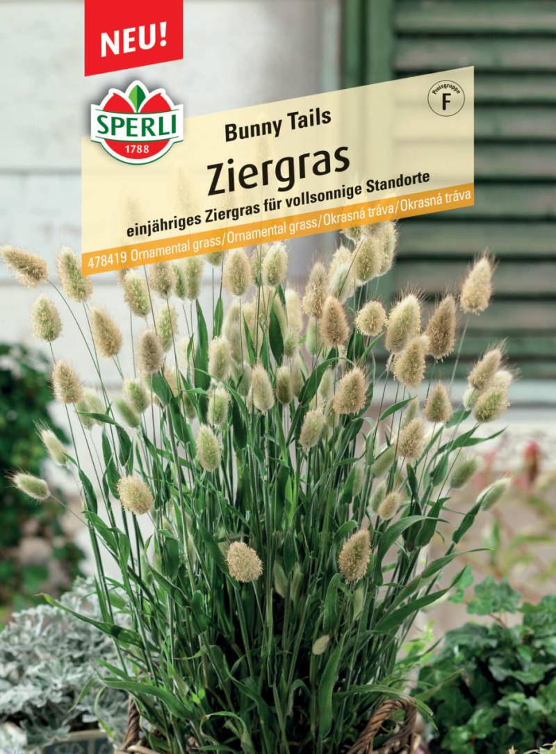 Sperli Ziergras Bunny Tails von Sperli