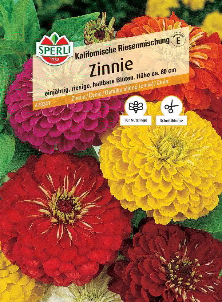 Sperli Zinnie Kalifornische Riesenmischung von Sperli