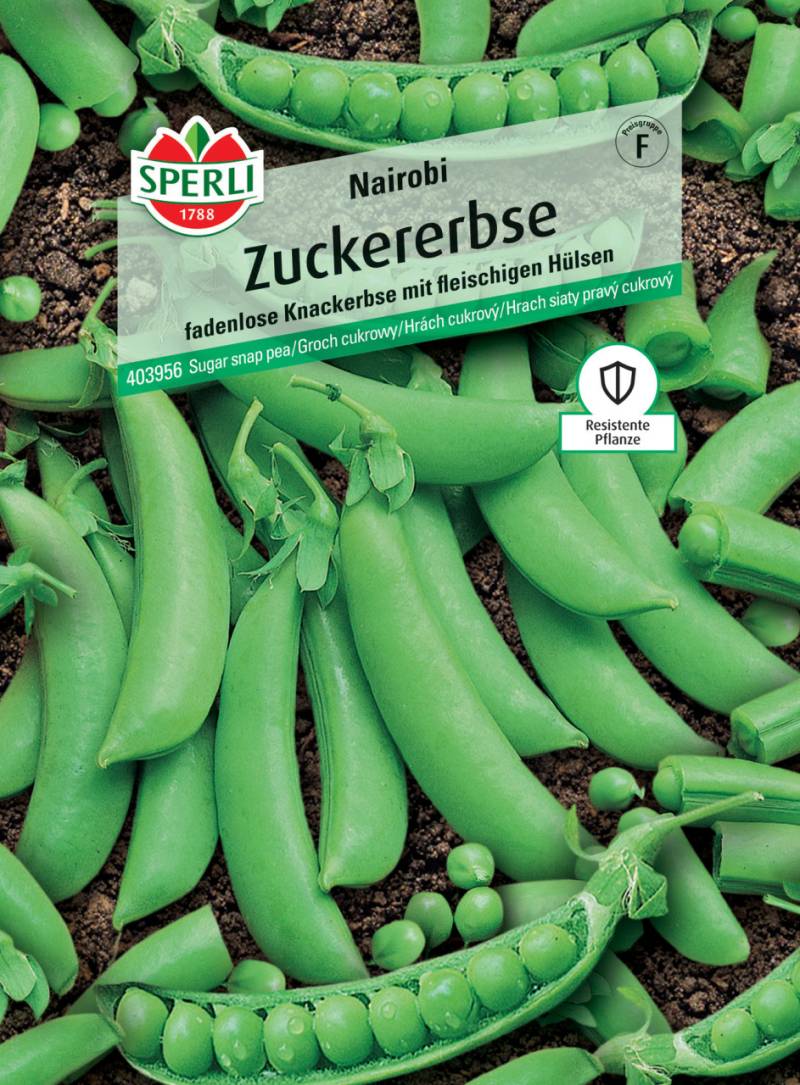 Sperli Zuckererbse Nairobi von Sperli