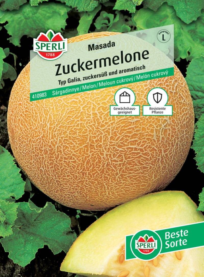 Sperli Zuckermelone Masada F1 von Sperli