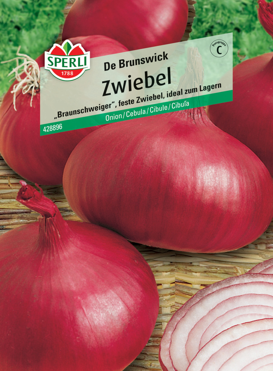 Sperli Zwiebel De Brunswick von Sperli