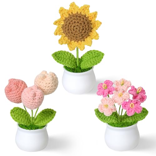 Weldomcor Danke Geschenk Künstliche Blumen Gestrickte Blumen Mini Häkeln Blumen Topf Pflanze Handgemachte Crochet Flowers für Geschenk Büro Schreibtisch Auto Armaturenbrett Dekoration von Weldomcor