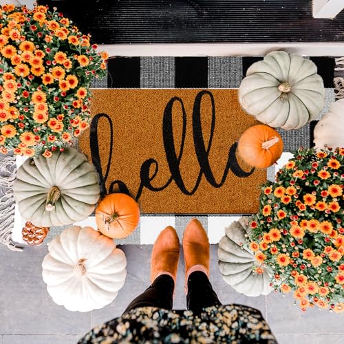 Fußmatte für die Veranda, Hello Fußmatte und Buffalo Plaid karierter Outdoor-Teppich, rutschfeste Eingangs-Dekoration, Kokosfaser-Fußmatte für Herbst, Erntedankfest, rustikales Bauernhaus, 2 Stück von WelifeUp