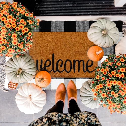 Fußmatte mit Aufschrift "Autumn Welcome Fall", dekorativ, Büffelkariert, Outdoor-Teppich, Eingang, rutschfest, Kokosfaser, für Bauernhaus, Erntedankfest, 2 Stück von WelifeUp