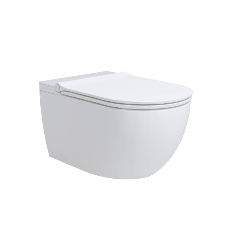 Wellbad Dusch-WC  spülrandlos 'Tokio' inklusive WC-Sitz weiß Wellbad Dusch-WC  spülrandlos 'Tokio' inklusive WC-Sitz weiß von Wellbad