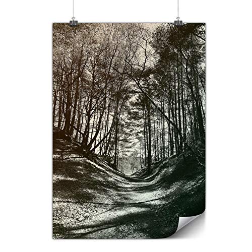 Wellcoda Dunkel Wald Foto Natur Plakat Natur A4 (30cm x 21cm) Mattes schweres Papier, Ideal für die Gestaltung, Einfach zu hängen Kunst von Wellcoda