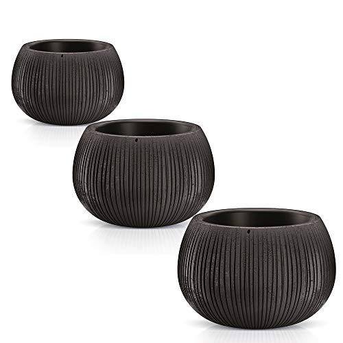 WELL HOME MOBILIARIO & DECORACIÓN Beton Bowl Blumentöpfe aus Kunststoff mit Behälter in Zementfarbe Schwarz, Größe M, 3 Stück WELL HOME MOBILIARIO & DECORACIÓN Beton Bowl Blumentöpfe aus Kunststoff mit Behälter in Zementfarbe Schwarz, Größe M, 3 Stück von WELL HOME MOBILIARIO & DECORACIÓN
