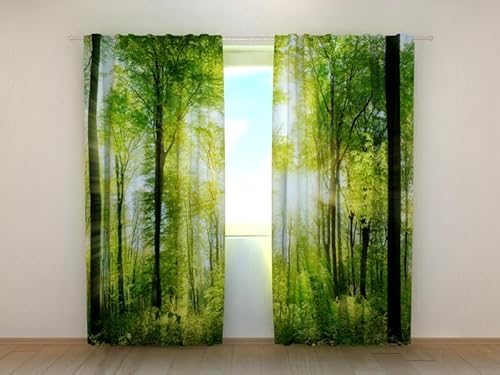 Fotogardine: Lange Sonnenstrahlen im Wald, Vorhang mit Fotodruck, Gardine mit Bildmotiv, Maßanfertigung, Material (Transparent (Chiffon)) von Wellmira